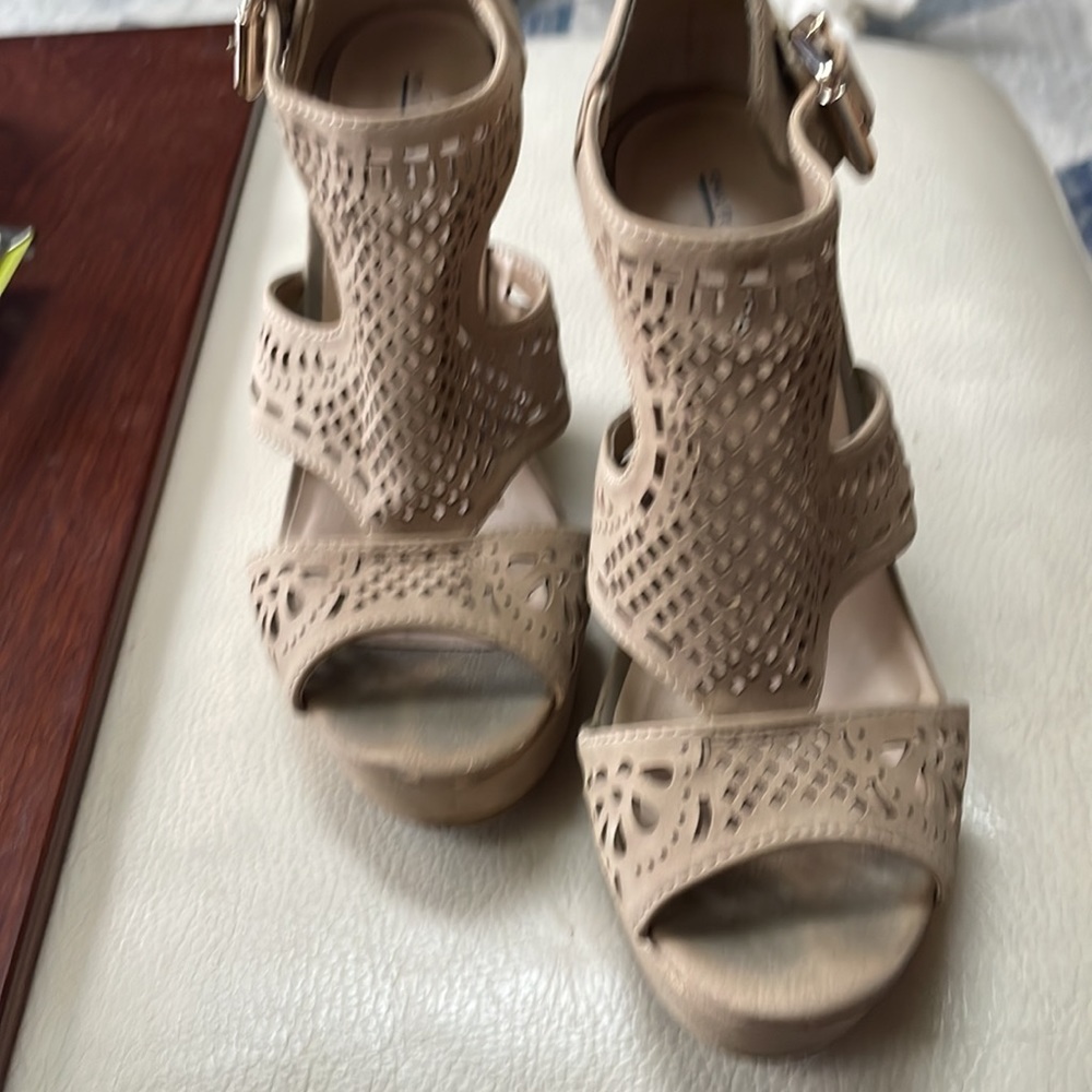 Wedge pumps